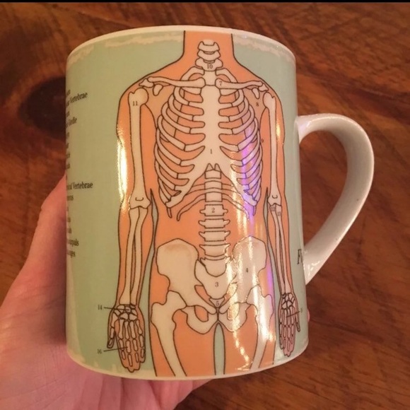 Skeltonanatomy Skeltonanatomy Mod Mod Mug Mug Cloth Cloth Mod 0vynOw8mN